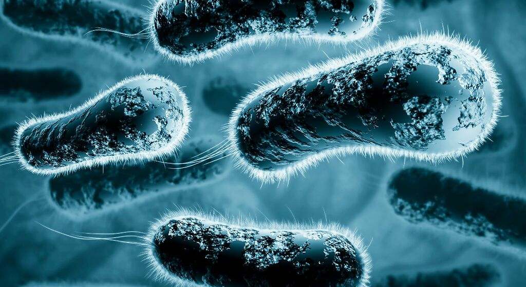 Actúa contra las bacterias