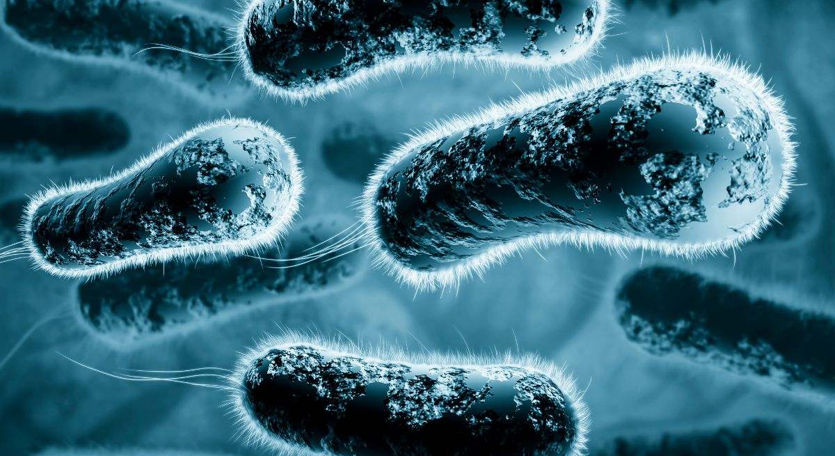 Actúa contra las bacterias