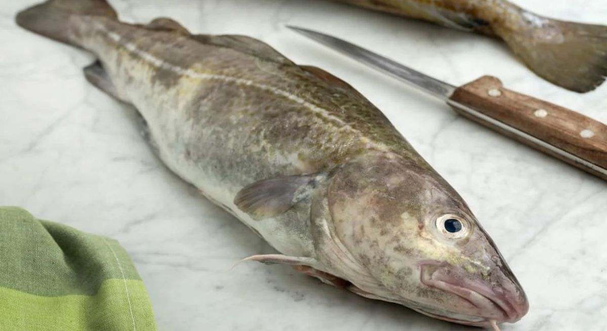 Se desala el bacalao