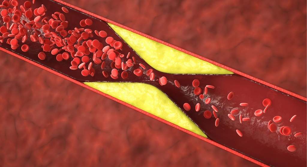 Mantiene la salud de los vasos sanguíneos