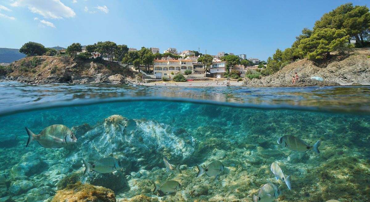 Este es el pueblo costero más encantador de la Costa Brava y también uno de los más infravalorados
