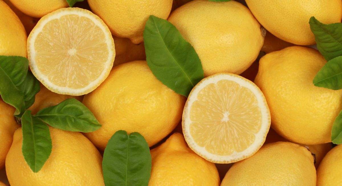 Más detalles