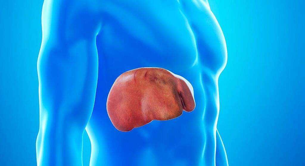 Mejora la esteatosis y la degeneración hepática