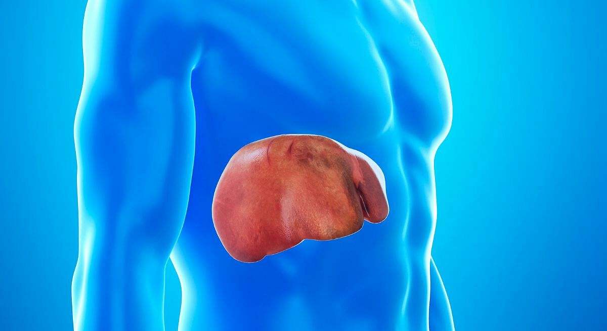 Mejora la esteatosis y la degeneración hepática