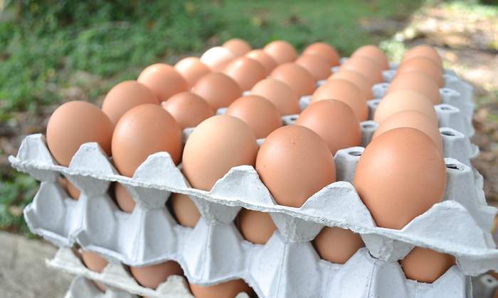 Huevos