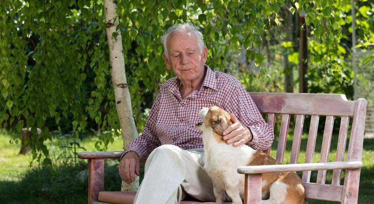 Una investigación demuestra que tener perro o gato puede ayudar a preservar la memoria y la agilidad mental con el paso de los años