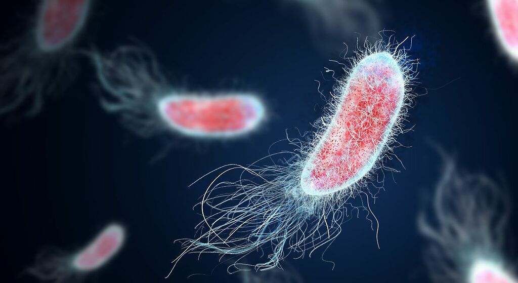 Combate infecciones bacterianas