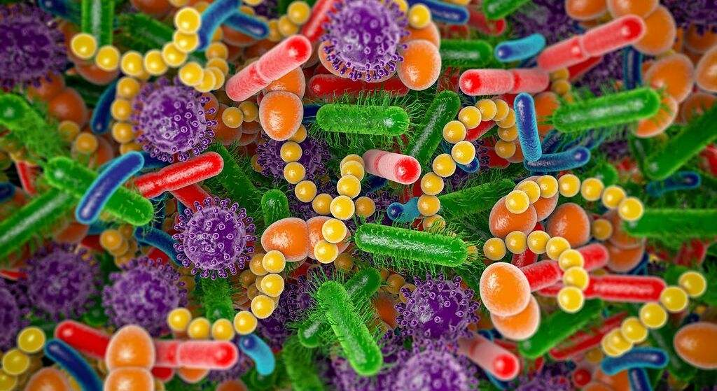 Los hábitos que debes hacer todos los días para cuidar tu microbiota intestinal y evitar el estreñimiento