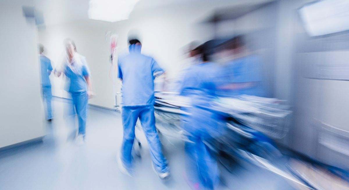Los expertos avisan de que la próxima pandemia será por gripe aviar: instan a una vigilancia activa y la anticipación