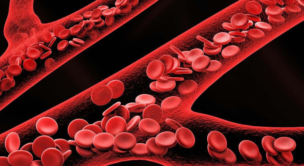 Mejora la salud de las arterias
