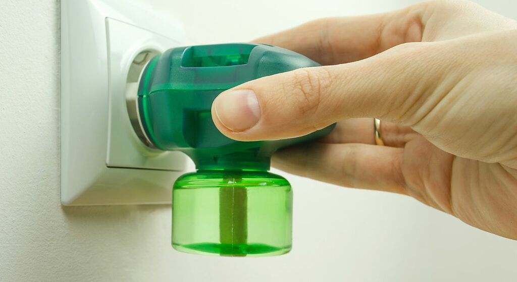 En interior, utiliza insecticidas