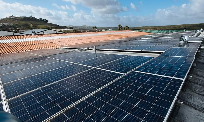 paneles-solares-andalucia-ep.jpg