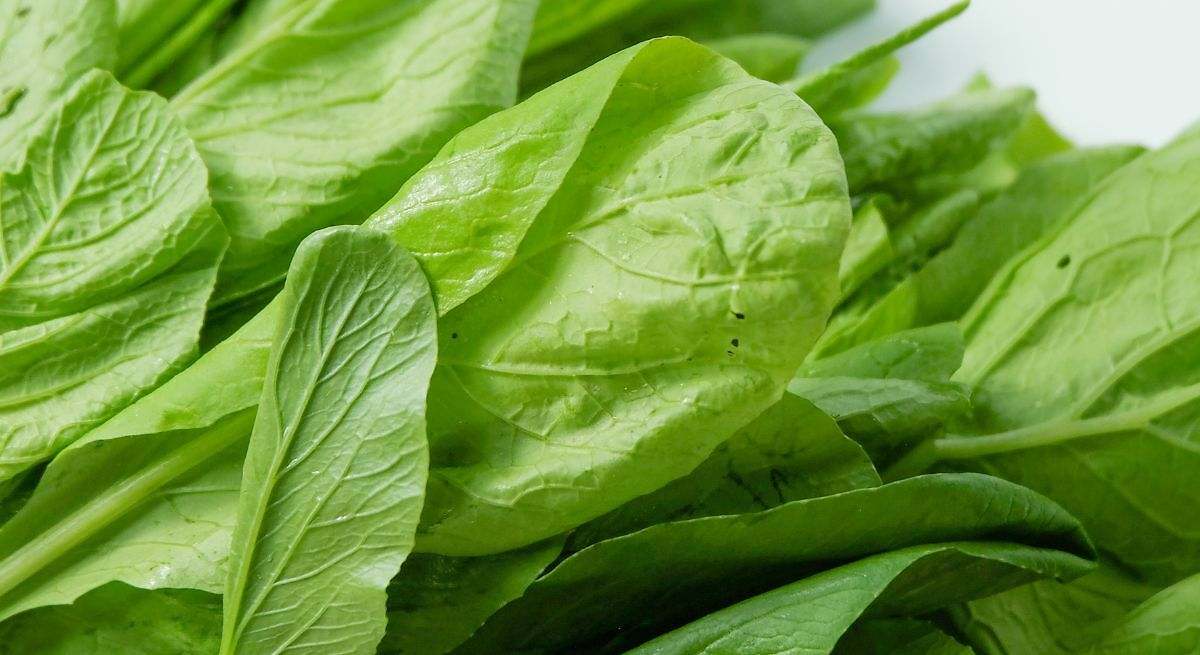 Espinaca