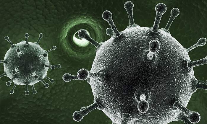 bacterias.jpg