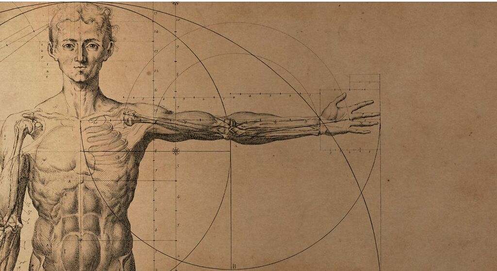 En Humanidades y Ciencias Sociales