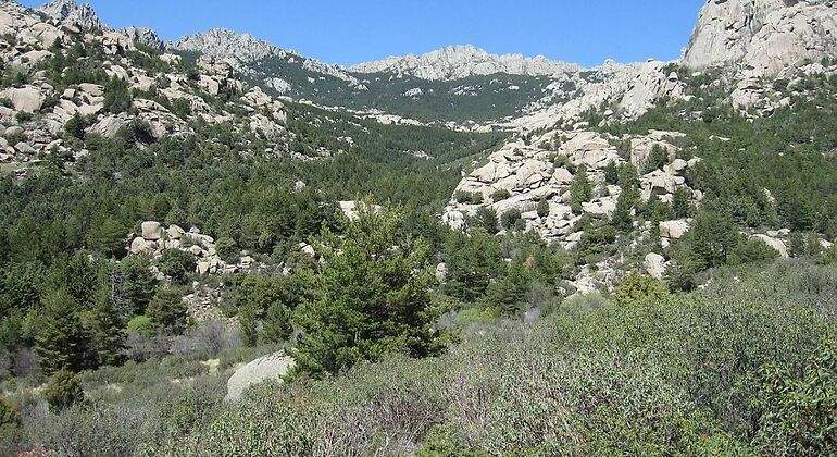 Parte posterior de la zona de la pedriza