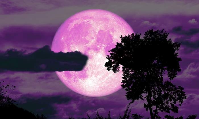 luna-rosa.jpg
