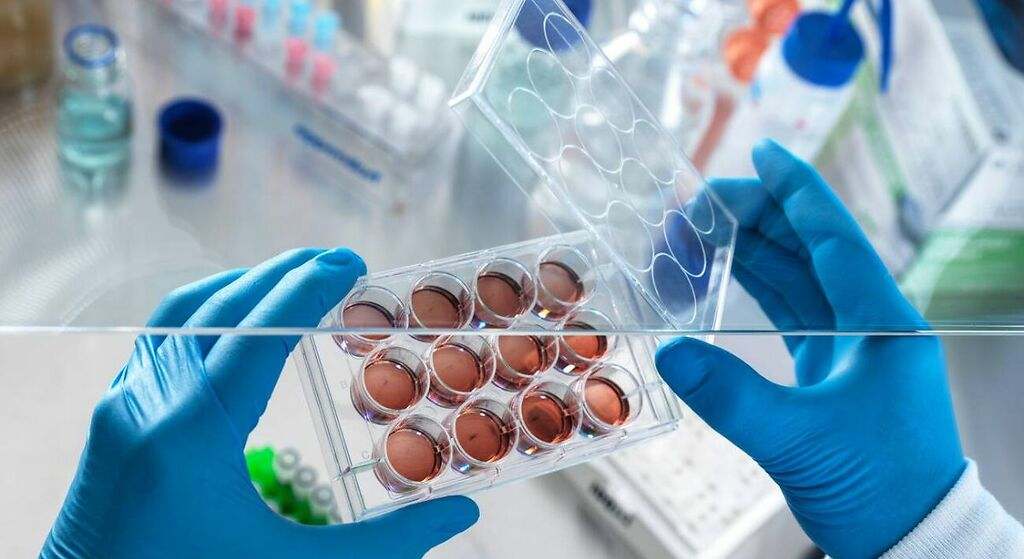 Biología