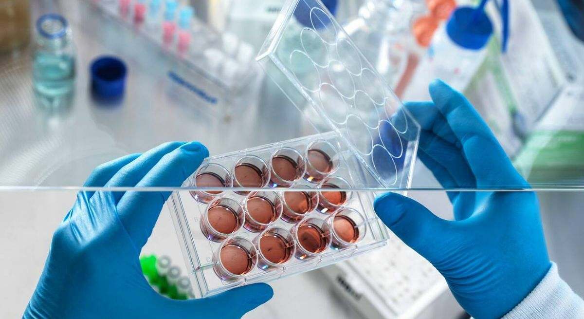 Biología