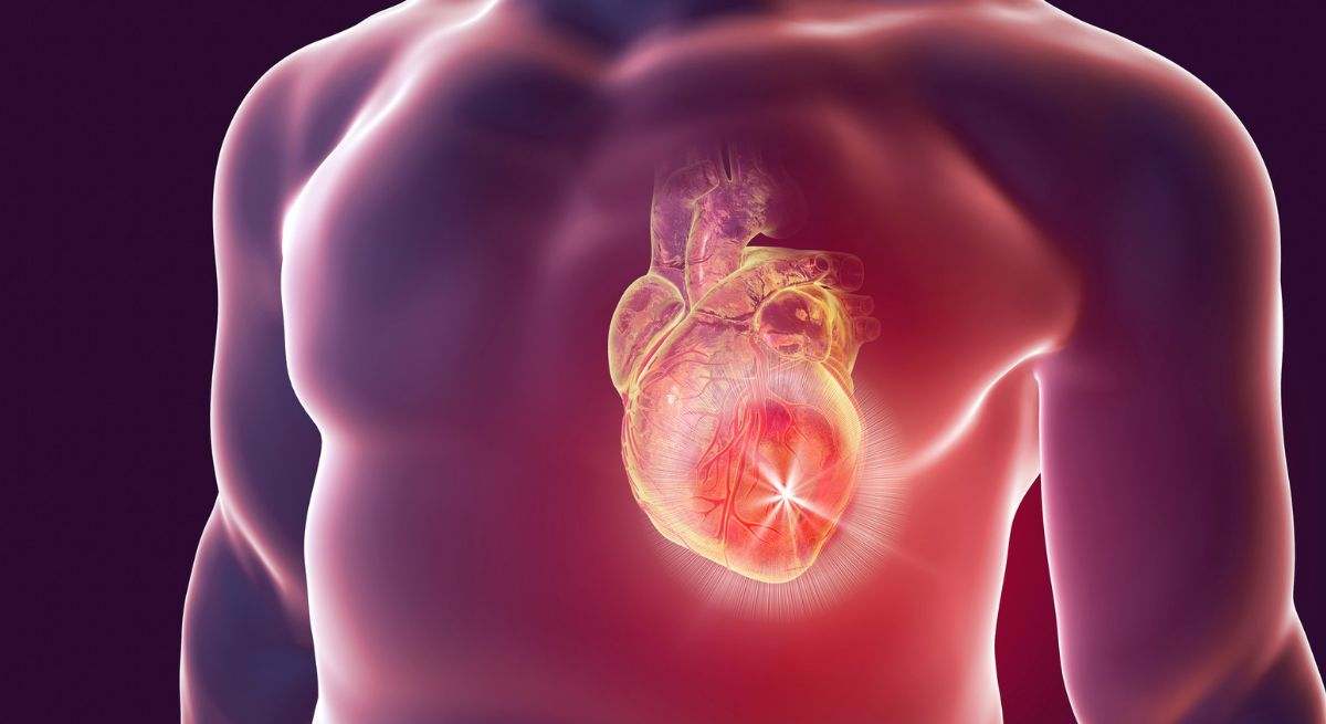 Previenen enfermedades cardiovasculares