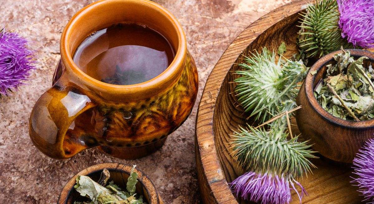 Té de cardo mariano