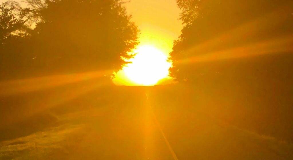 Presencia radiante