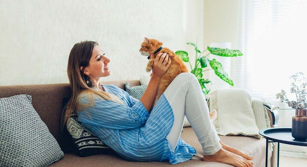 Ni potos ni hortensias: las mejores opciones de plantas no tóxicas para gatos con las que decorar tu casa dependiendo de la luz que tengas