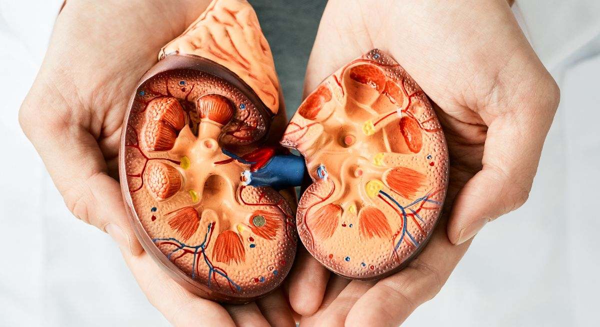 A tener en cuenta: los diagnosticados con insuficiencia renal