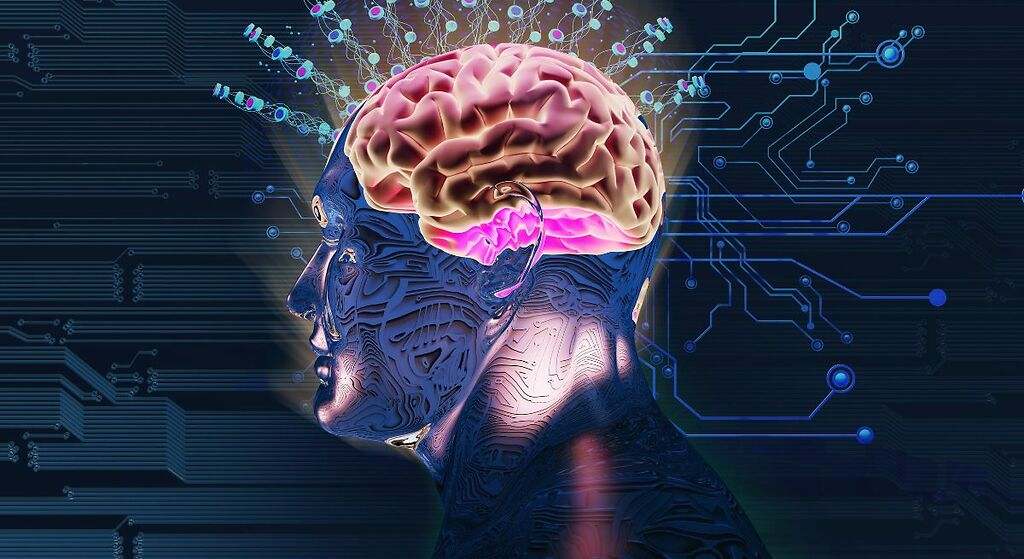 Incrementa la entropía cerebral