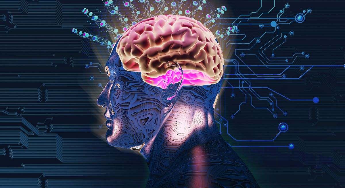 Incrementa la entropía cerebral