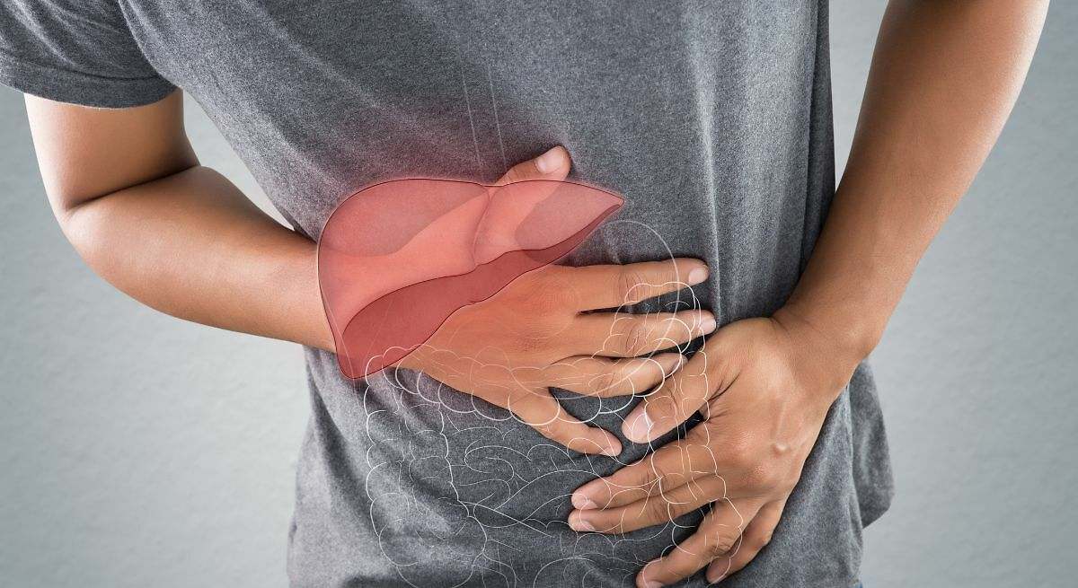 Es útil para la salud del hígado
