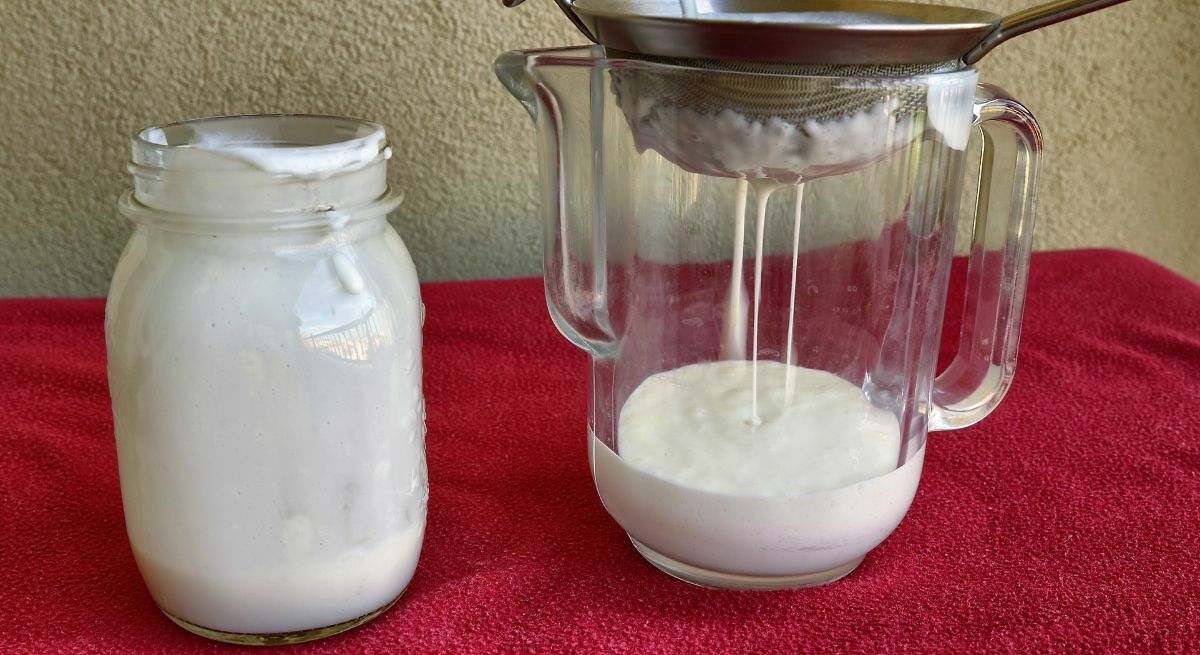 El lácteo que más te ayuda a mejorar tu tránsito intestinal, según los expertos