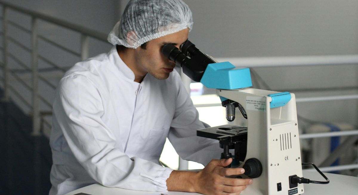 Bioensayos toxicológicos