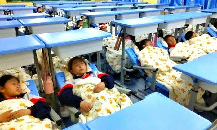 siesta-cole-1200.jpg
