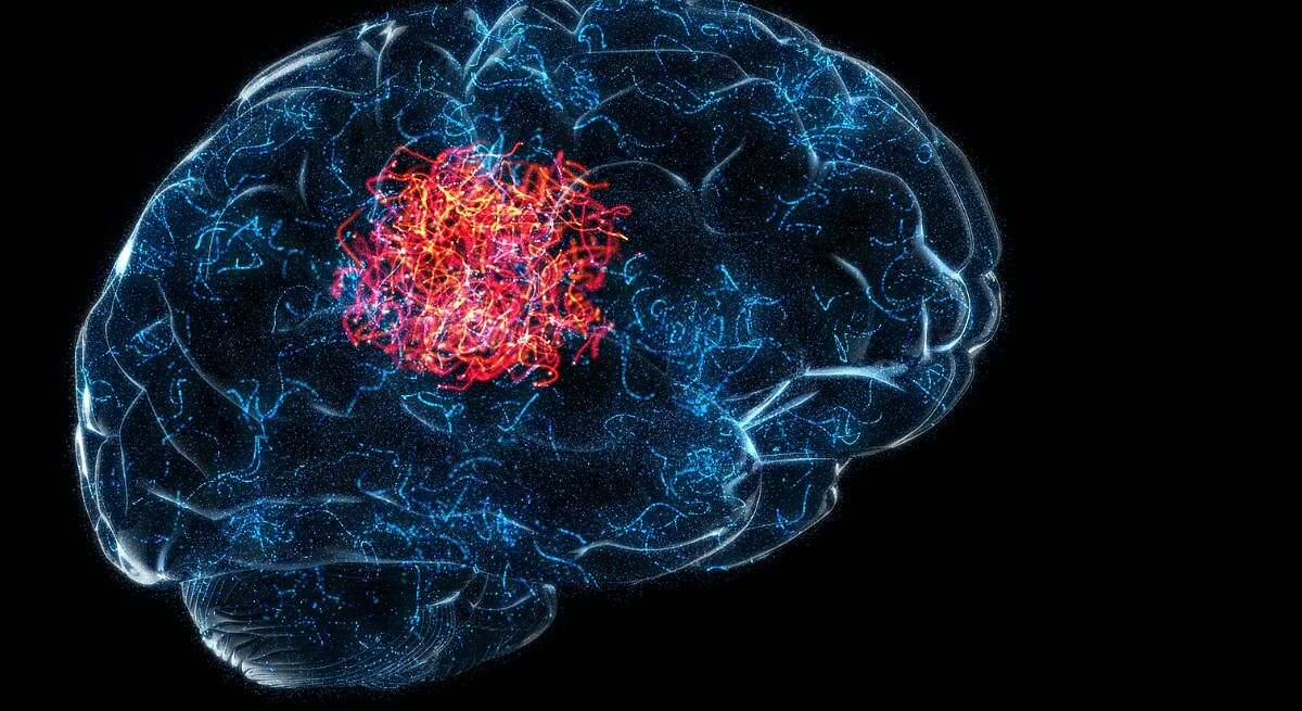 Fortalecen el cerebro y la memoria