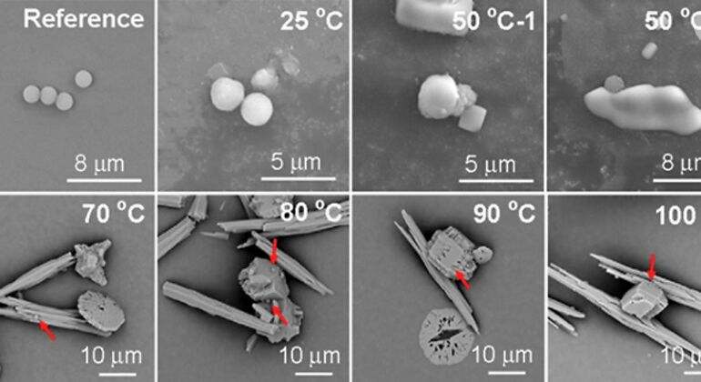 Se añadieron microplásticos adicionales para determinar la eficacia del proceso de ebullición y filtrado. (Yu et al., Environmental Science & Technology Letters, 2024)