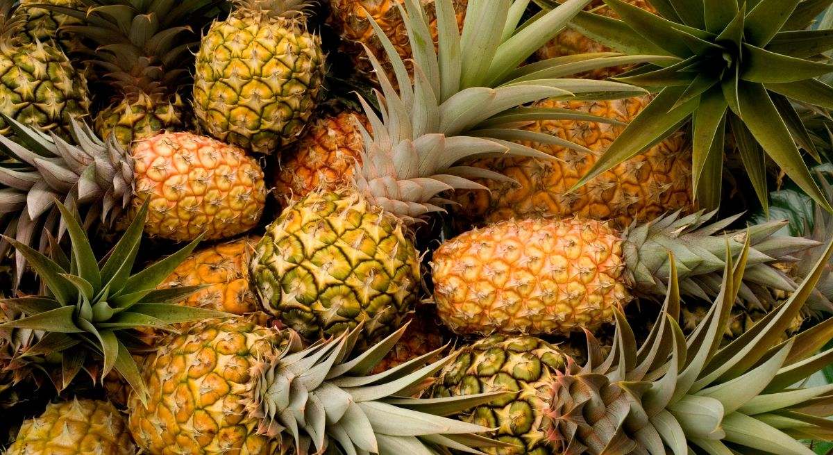 Piña