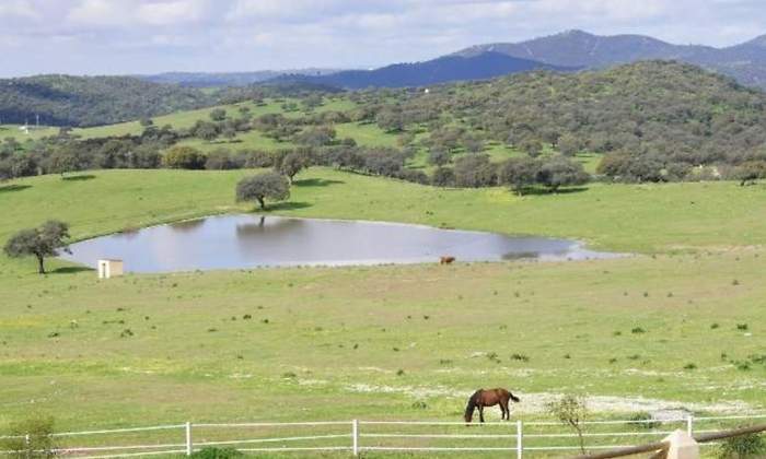 Fincas-rusticas.jpg
