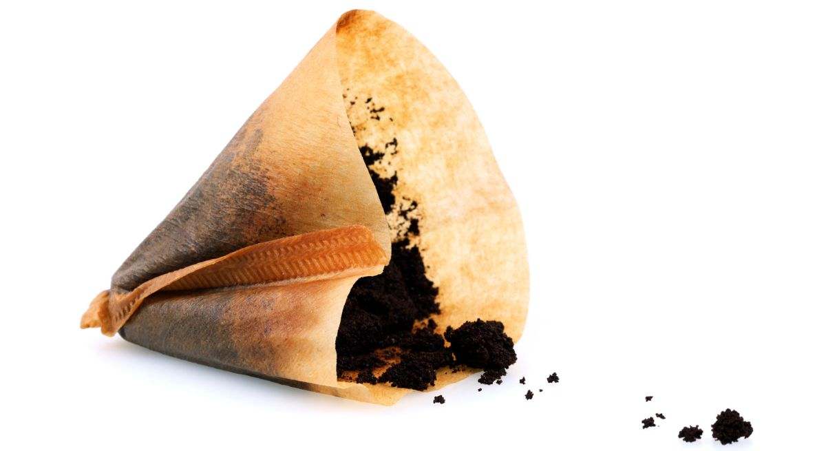 Los posos de café
