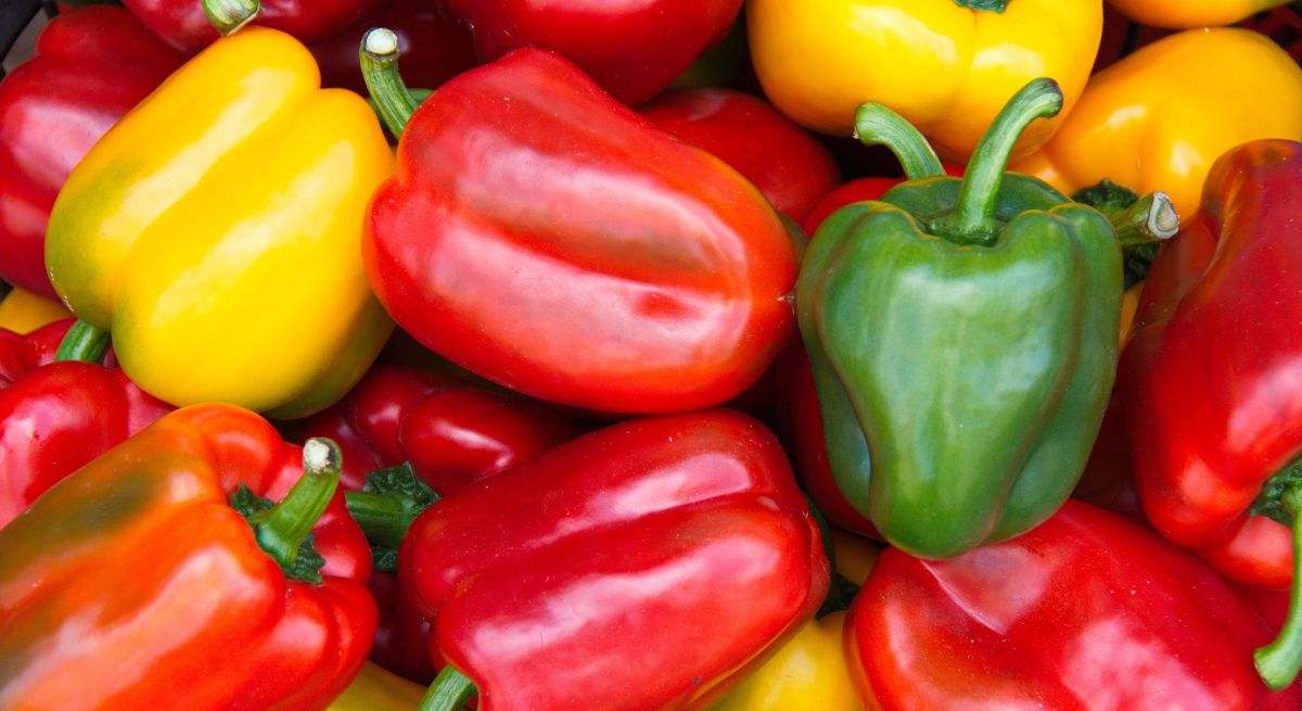 Ni en el frutero ni dentro del envase en la nevera: el mejor lugar para conservar los pimientos y que no se estropeen