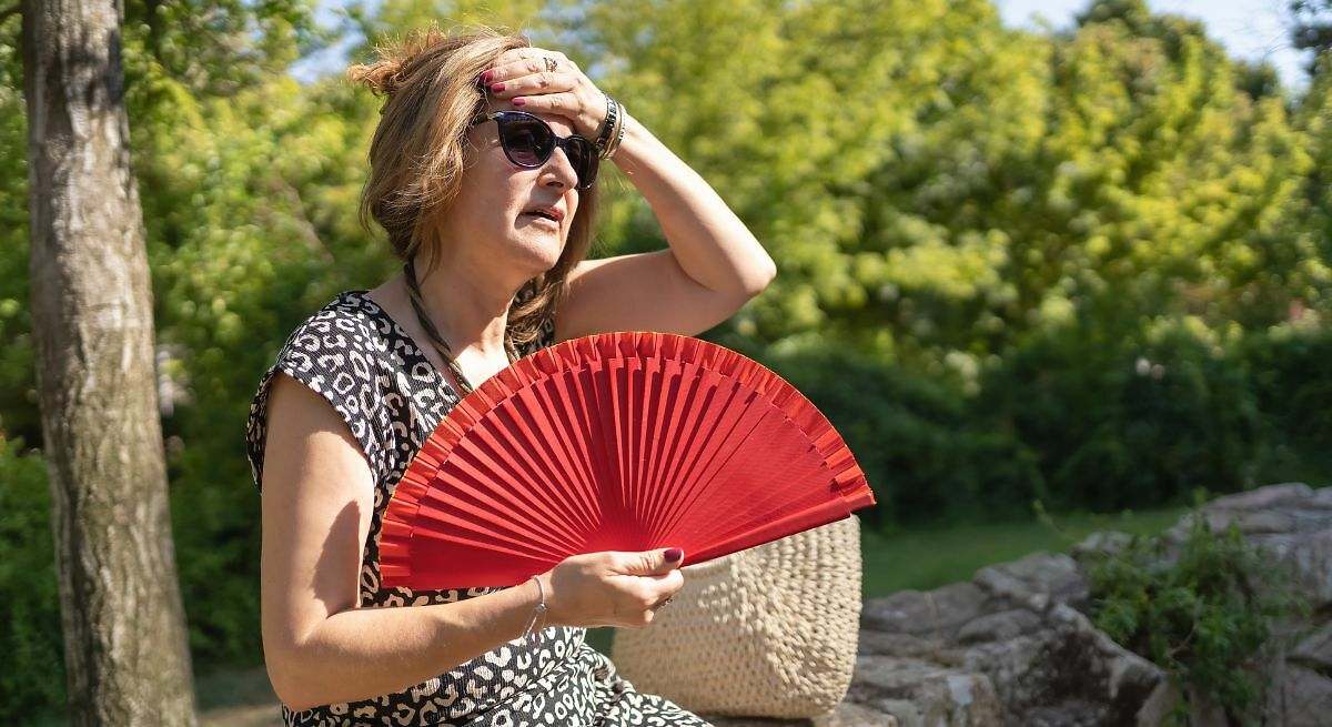 Abanico español (plegable)