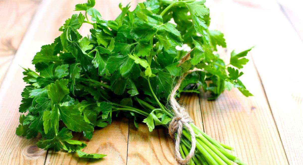 La hierba medicinal con vitamina C, calcio y potasio que ayuda a reducir el azúcar en sangre