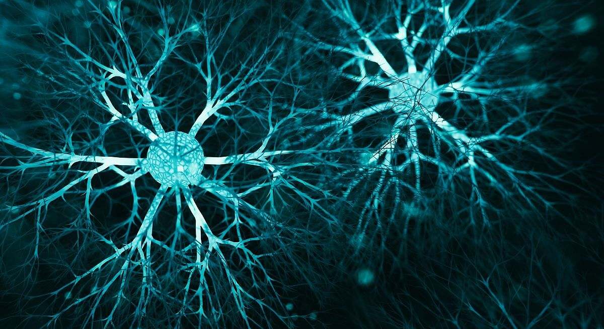 Protege las neuronas contra daños
