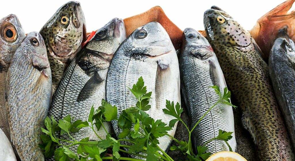 Pescado