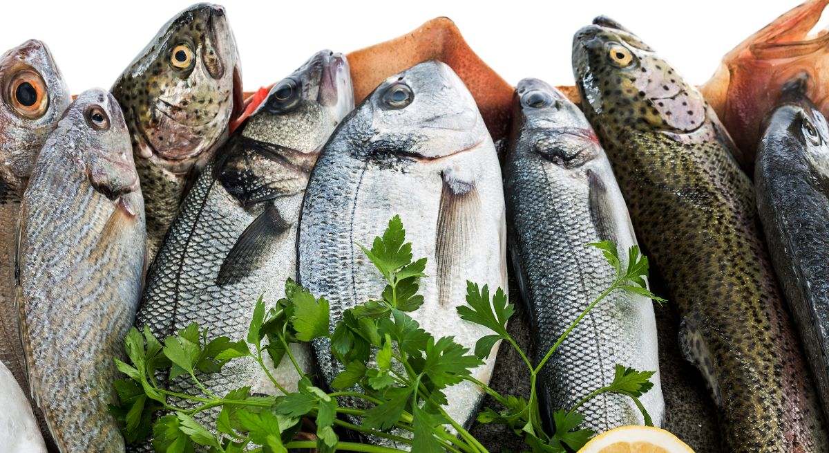 Pescado