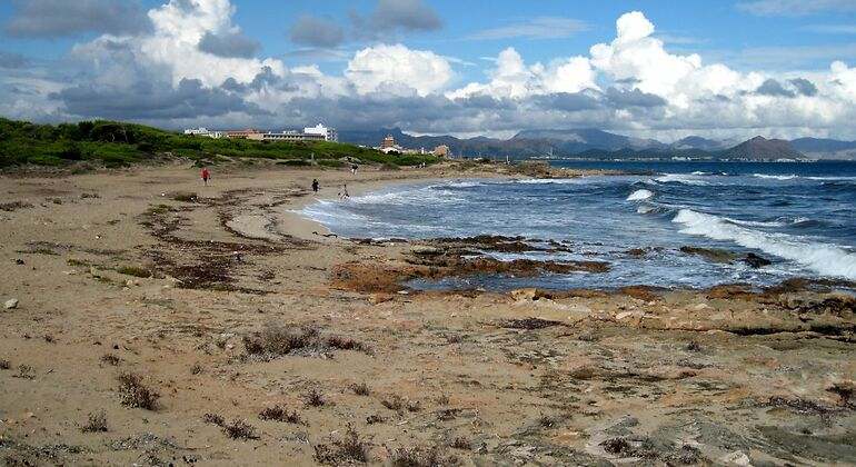 Zona de costa con dunas y vegetración