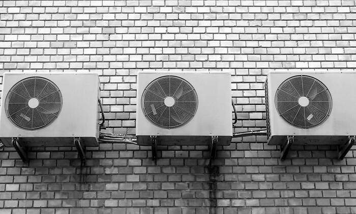 wall-g9733f5d9a_1280-1.jpg