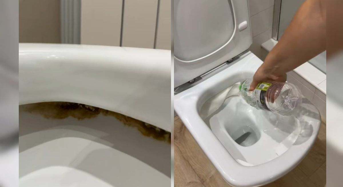 Un rollo de papel higiénico y vinagre: el sencillo truco para deshacerte del sarro del inodoro y que quede reluciente