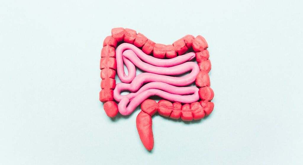 Reduce la absorción de colesterol en el intestino