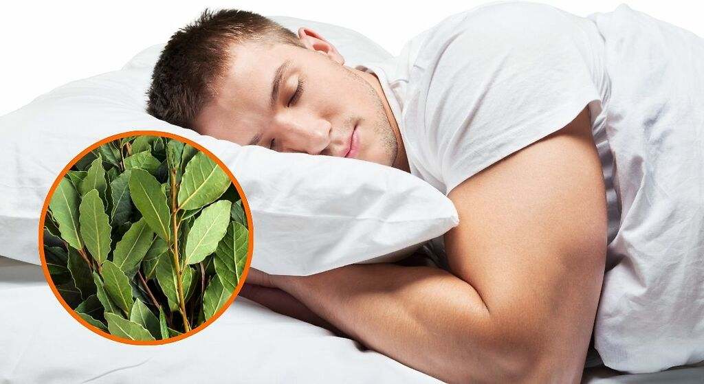 Por qué hay que poner una hoja de laurel debajo de la almohada: estos son los beneficios en la salud